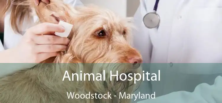 Animal Hospital Woodstock - Maryland