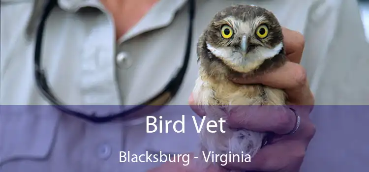 Bird Vet Blacksburg - Virginia