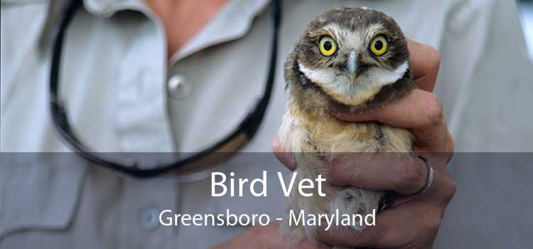 Bird Vet Greensboro - Emergency Exotic Avian Vet Near Me