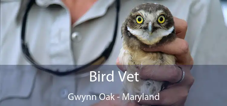 Bird Vet Gwynn Oak - Maryland