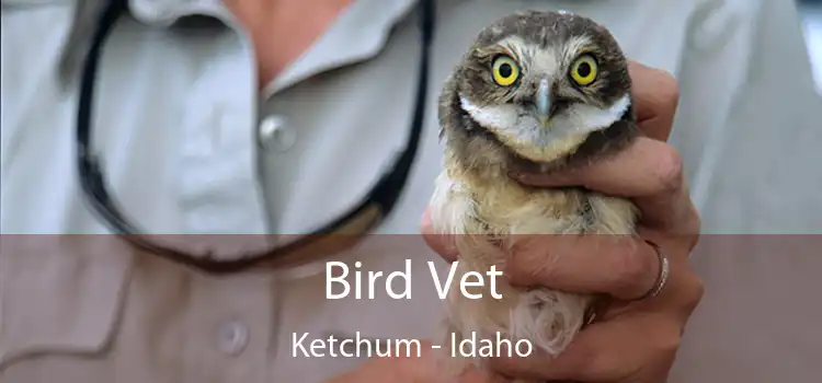 Bird Vet Ketchum - Idaho