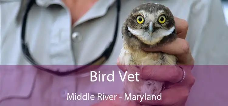 Bird Vet Middle River - Maryland