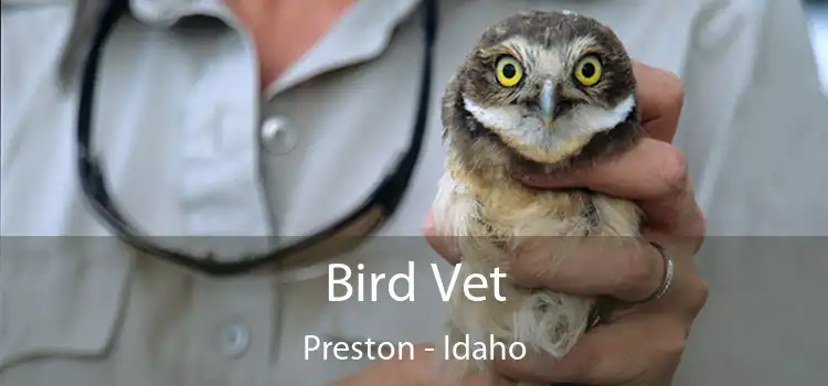 Bird Vet Preston - Idaho