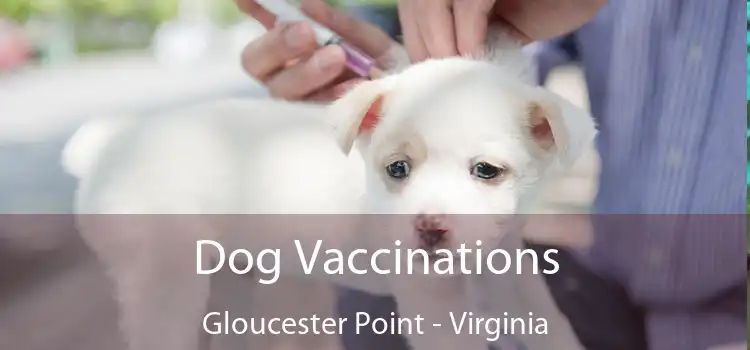 Dog Vaccinations Gloucester Point - Virginia