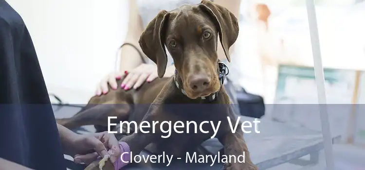 Emergency Vet Cloverly - Maryland