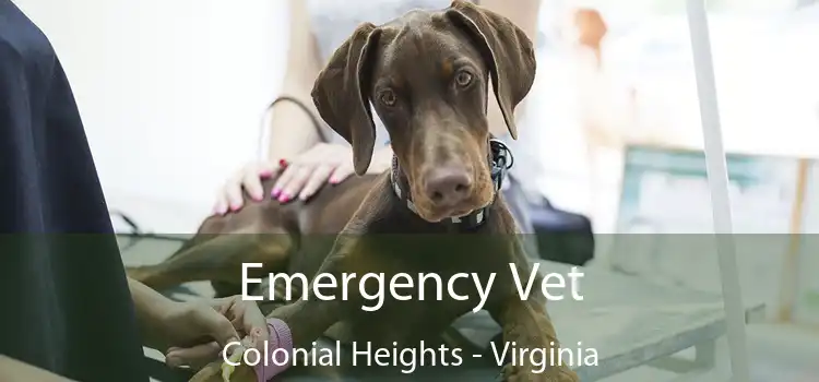 Emergency Vet Colonial Heights - Virginia