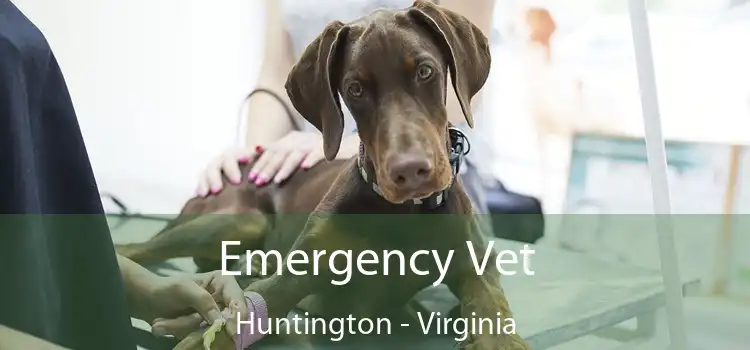 Emergency Vet Huntington - Virginia