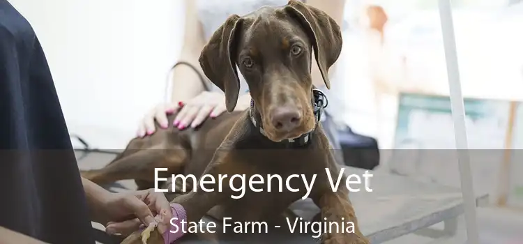 Emergency Vet State Farm - Virginia