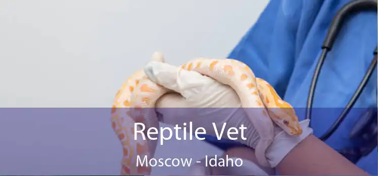 Reptile Vet Moscow - Idaho