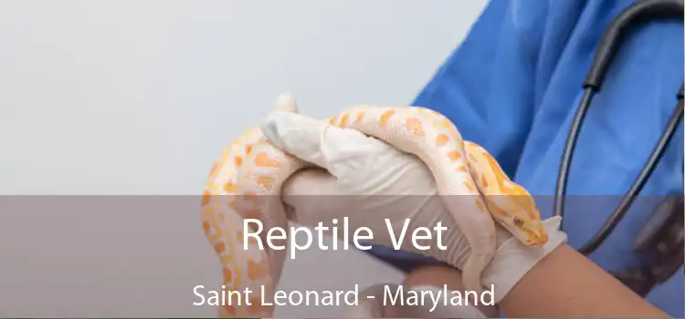 Reptile Vet Saint Leonard - Maryland