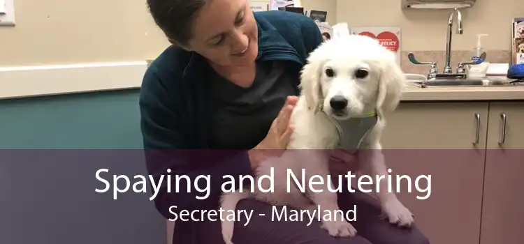 Spaying and Neutering Secretary - Maryland